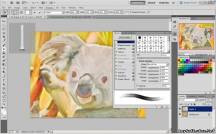скриншот к Adobe Photoshop CS5